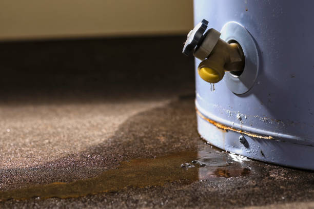 Best Commercial water damage restoration  in Millwood, WA
