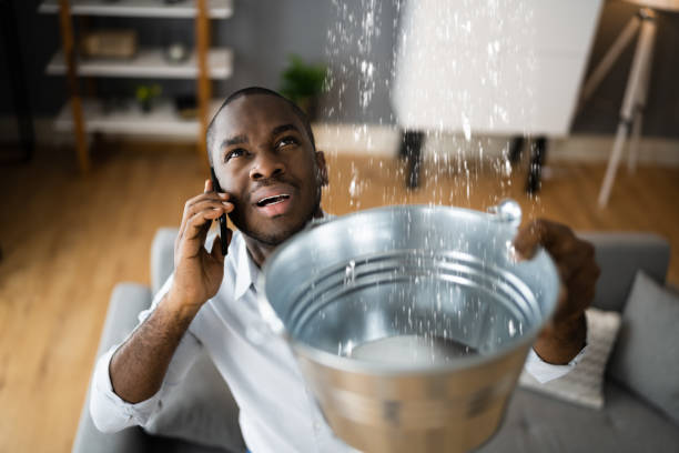 Best Mold removal after water damage  in Millwood, WA
