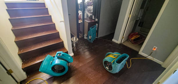 Best Flood damage cleanup  in Millwood, WA