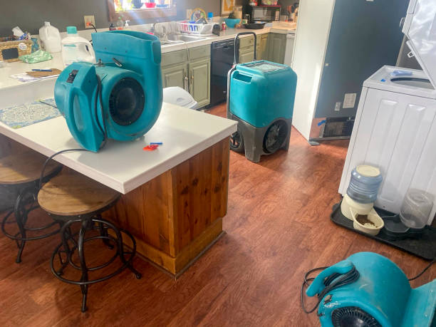 Best Flooded house restoration  in Millwood, WA