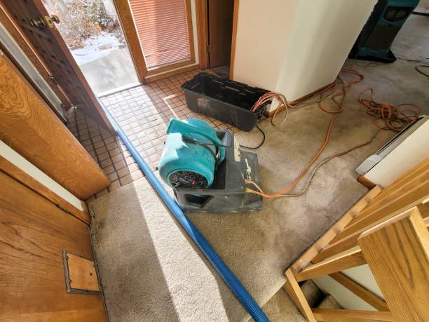 Best Flood restoration services  in Millwood, WA