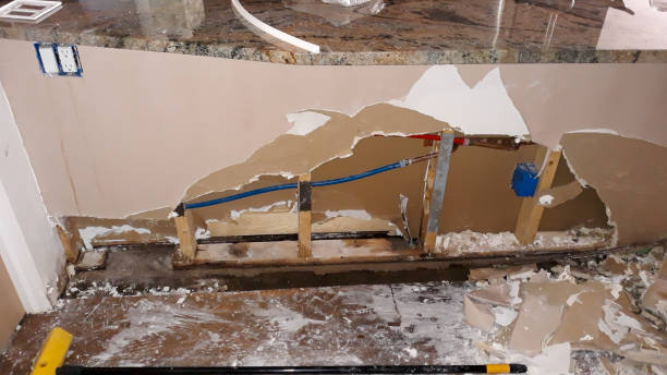 Water damage restoration mold remediation in Millwood, WA