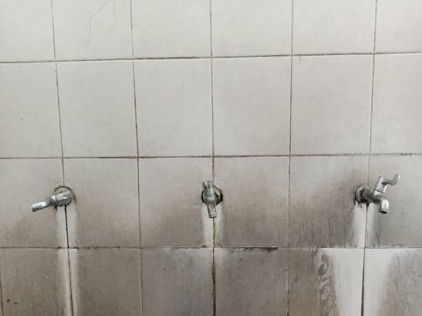 Best Water damage restoration services  in Millwood, WA