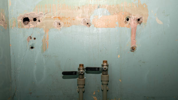 Best Basement water damage restoration  in Millwood, WA