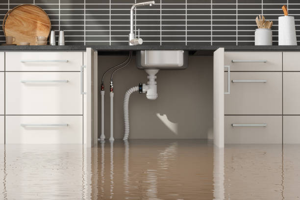Best Residential water damage restoration  in Millwood, WA