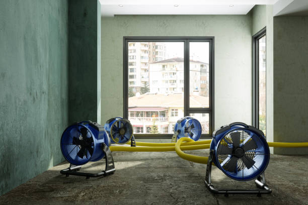 Best Ceiling water damage repair  in Millwood, WA