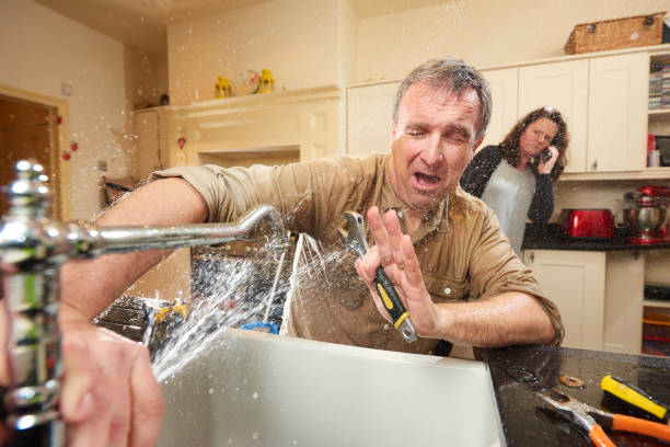 Best Water damage restoration mold remediation  in Millwood, WA